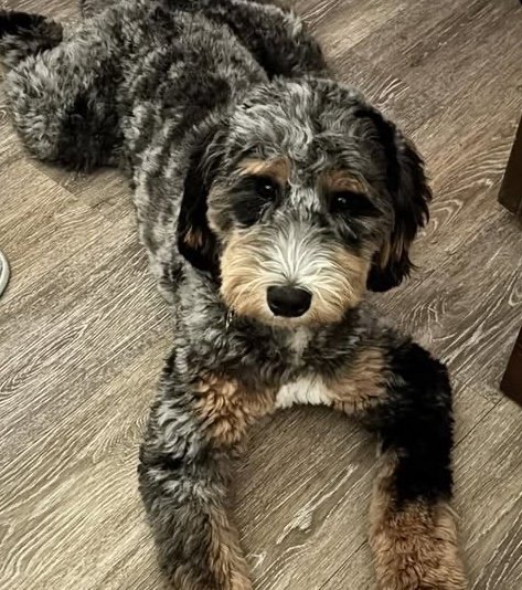 Libby Lou