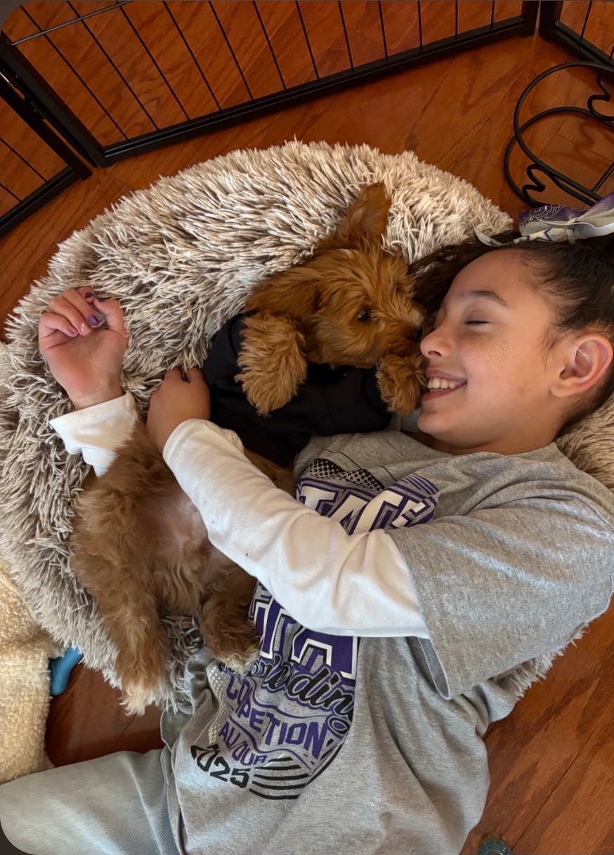 Girl lying on a fuzzy rug cuddling a small brown dog, both smiling.
