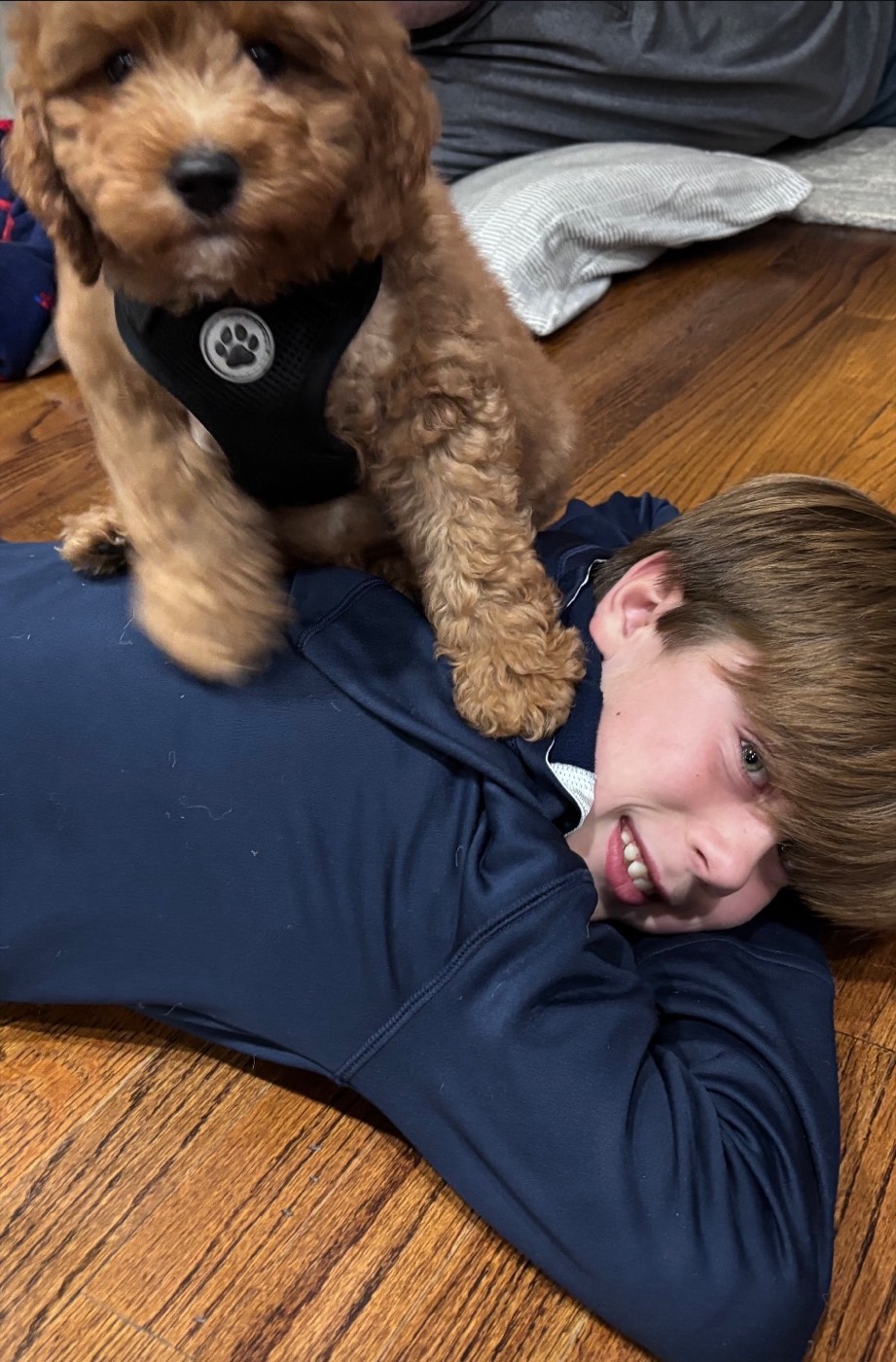 A smiling boy lies on a wooden floor with his head resting on his arms while a fluffy brown puppy wearing a black harness stands playfully on his back.