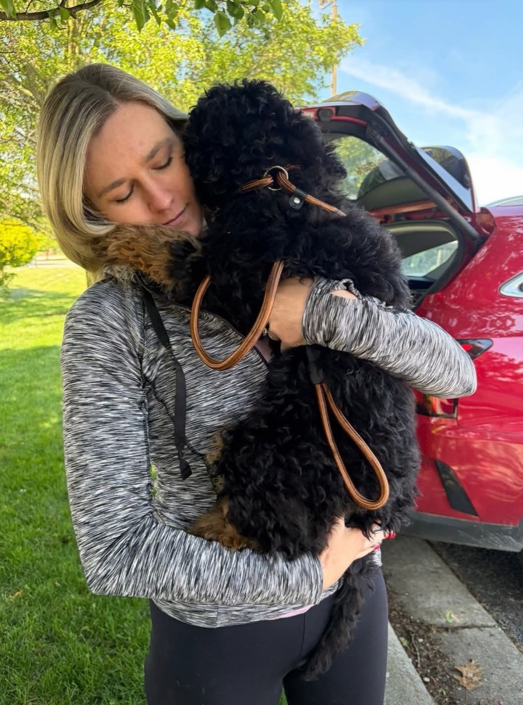 A woman in a gray hoodie hugs a fluffy black dog outside near a red car, with green grass and trees in the background.