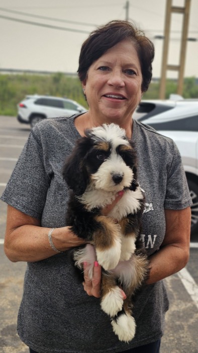 A smiling woman with short dark hair holds a fluffy black, white, and brown puppy in her arms in a parking lot with cars and greenery in the background.
